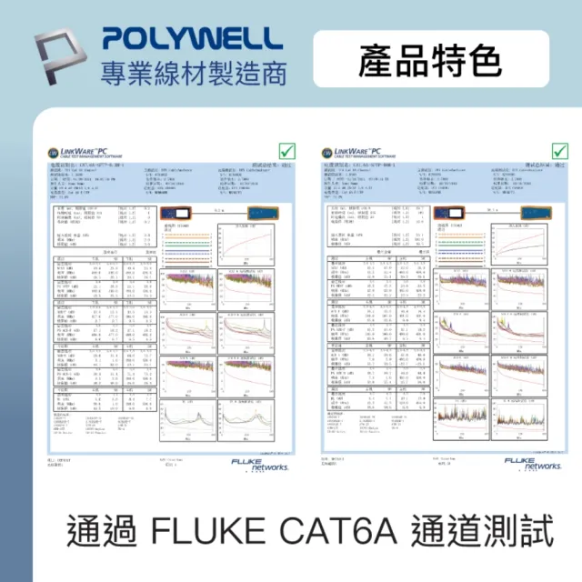 【POLYWELL】CAT6A 高速乙太網路線 S/FTP 10Gbps /5M