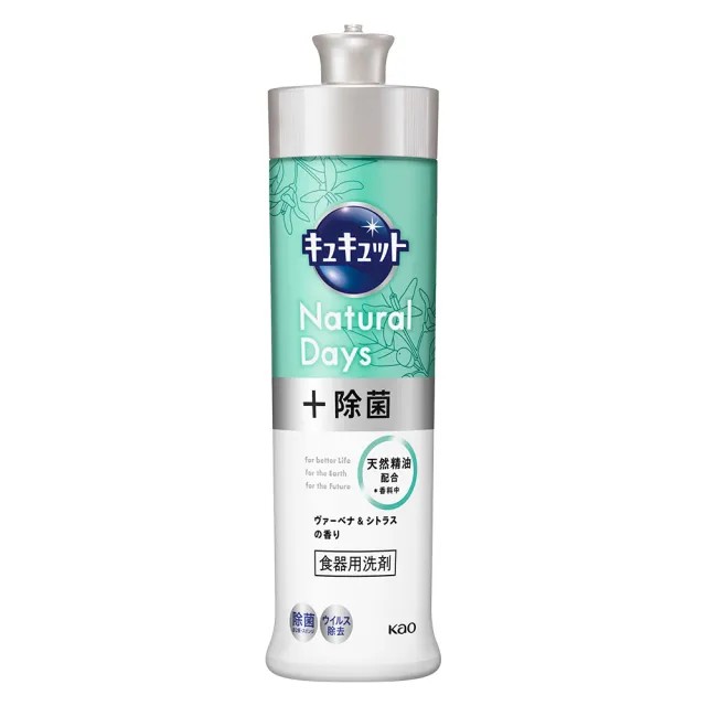 【Kao 花王】日本 珂珂透 除菌高效洗碗精 240ml(平輸商品)