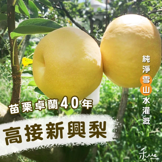 雪莉朵辣 苗栗甘露梨五粒裝/箱(6公斤±10% x2箱) 推