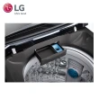 【LG 樂金】15公斤◆Smart Inverter 智慧變頻洗衣機(WT-ID150MSG)