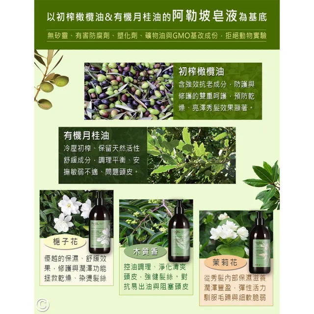 即期品【NAJEL】阿勒坡古皂液洗髮精300mlx4入組-淨透平衡頭皮SPA(茉莉花/梔子花/木質沉香)