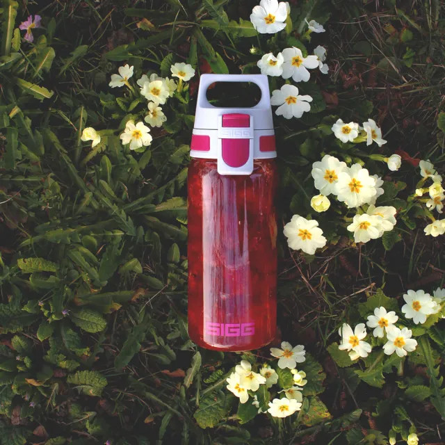 【SIGG】官方直營 全清透 Tritan 水瓶 500ml(抗衝擊 經久耐用不易裂)