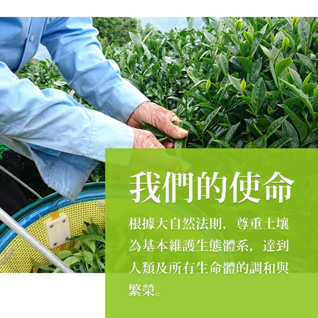 【龍源茶品】極品霜韻福壽梨山烏龍茶葉150gx6包(共1.5斤;附提袋;生青茶;無焙火;無發酵;春茶)