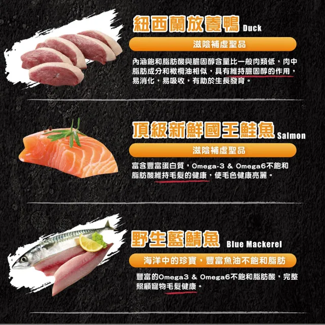 【ABSOLUTE HOLISTIC 超越巔峰】犬用鮮肉主食肉片100g(寵物零食/狗肉乾/狗零食/狗肉片/生食肉片)