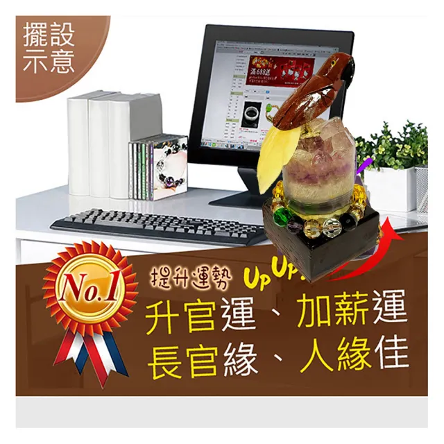 【開運億姊】5A巴西水晶鳥-同烏拉圭紫水晶洞能量/招財/開運/擋煞/防小人/貴人運旺(120g-旺九紫離火運)
