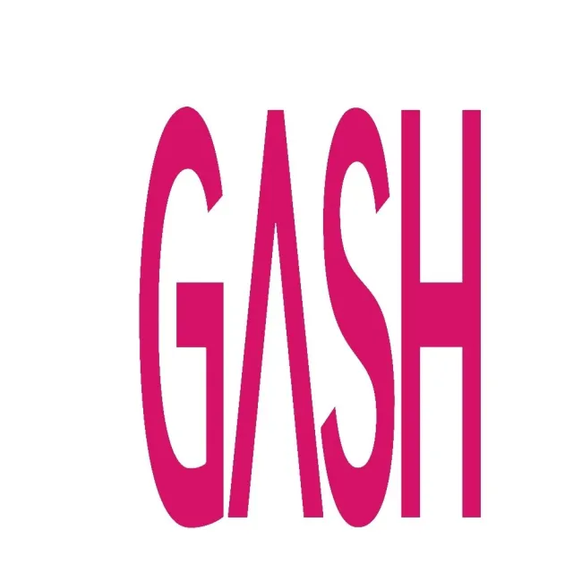 【GASH】GASH33點