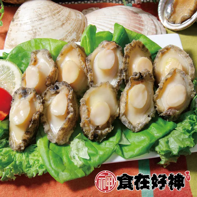 【食在好神】海中珍寶 熟凍鮑魚清肉