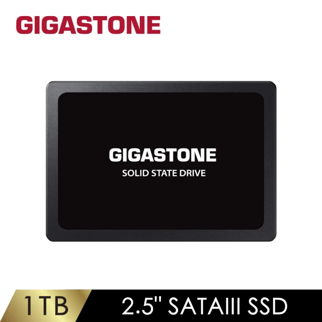 Gigastone 立達 搭外接盒 ★ 1TB SATA TLC ssd固態硬碟 讀520M/寫480M