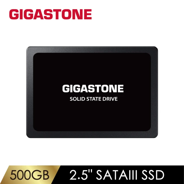 Gigastone 立達 搭外接盒 ★ 500GB SATA TLC ssd固態硬碟 讀520M/寫480M