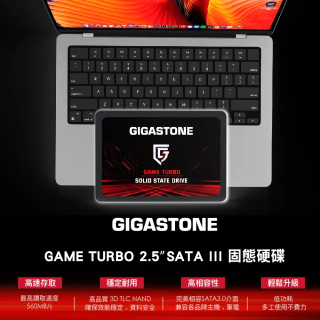 【Gigastone 立達】搭外接盒 ★ Game Turbo 512GB SATA ssd固態硬碟 5年保 讀560M