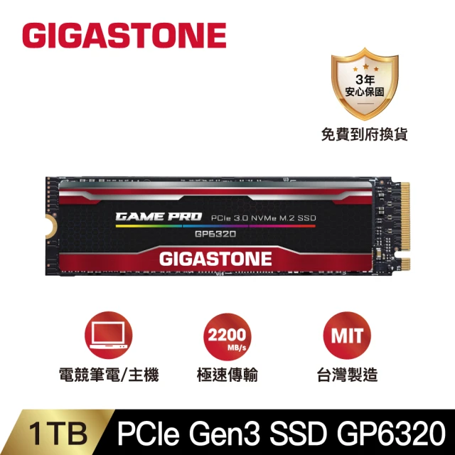 Gigastone 立達國際 GT6330 1TB PCIe