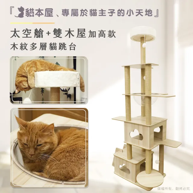 【貓本屋】加高款 太空艙 雙層貓屋貓跳台(180cm)