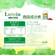 【陸丁博士Dr.Lutein】Kemin葉黃素純素液態軟膠囊(5瓶共300粒)