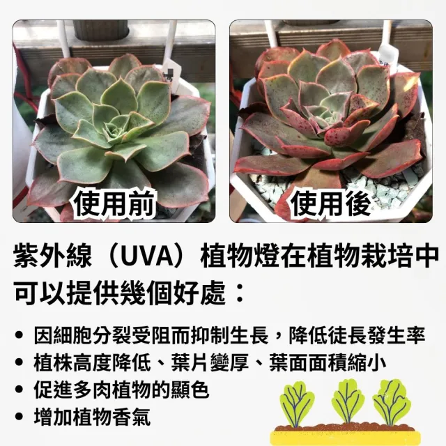 【JIUNPEY 君沛】2呎 25W 全光譜+UV紫外線 防水型LED植物燈管(植物生長燈 三防燈)
