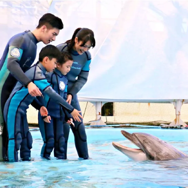 【花蓮遠雄海洋公園】暑假夜宿海豚館★適用6歲以下1泊2食含海豚體驗(玩翻樂園、專人導覽)