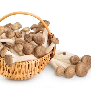 【盛花園蔬果】南投國姓鄉鴻喜菇120g x6包(溫控栽培_具蟹香風味)