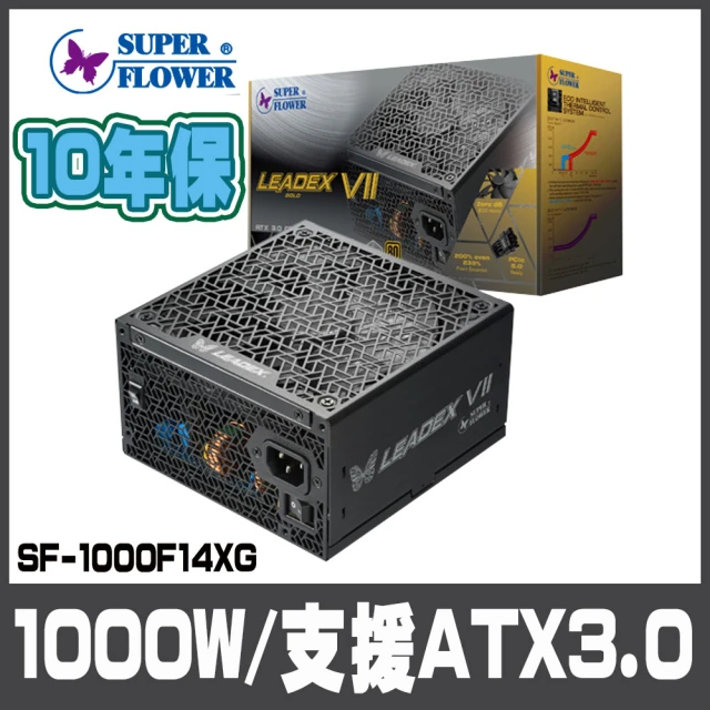 FSP 全漢 VITA-850GM 850瓦金牌 電源供應器