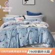 【Prawear 巴麗維亞】100%天絲兩用被床包組(單/雙/加/特大 多款任選) 涼被/冷氣毯