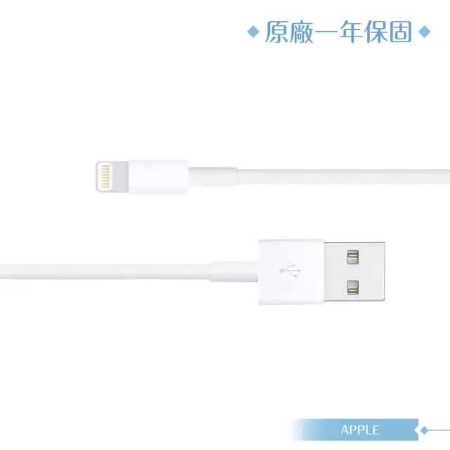 【Apple 蘋果】原廠公司貨A1480 / Lightning 對 USB 連接線-100cm(盒裝)