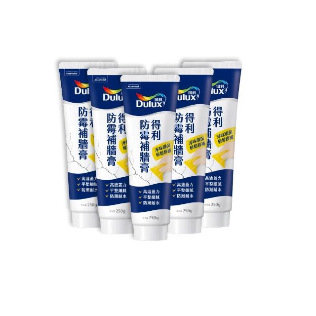 【得利】Dulux官方旗艦店★A888 防霉抗菌補牆膏（5入組裝）(修補批土 剝落修補 凹洞)