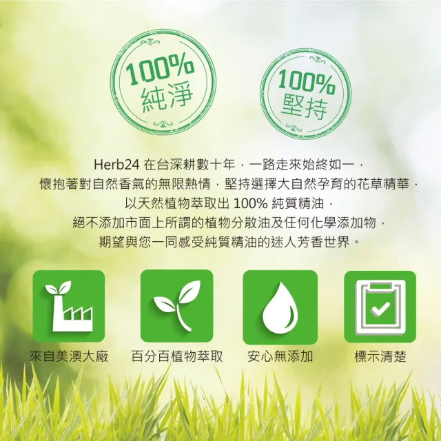 【草本24】Herb24 晨霧純精油擴香儀II_10瓶精油豪華組：贈12格收納木盒(專櫃品牌直營 保固半年)
