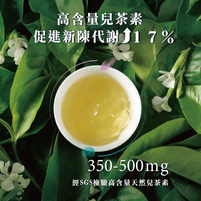 【發現茶】兒茶素青茶4盒 冷泡茶包(可冷泡 風味代謝 雙向升級 6gx30入/盒)