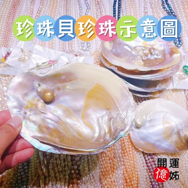 【開運億姊】開運桃花珍珠貝珍珠項鍊-輕奢造型養珠款-加贈鋼鍊-招財/開運/桃花/貴人運旺(旺九紫離火運)