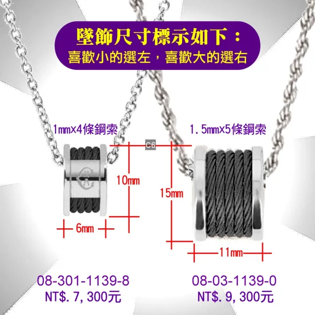 【CHARRIOL 夏利豪】Necklace項鍊系列 Forever永恆銀色吊墜黑鋼索款-加雙重贈品 C6(08-03-1139-0/45)