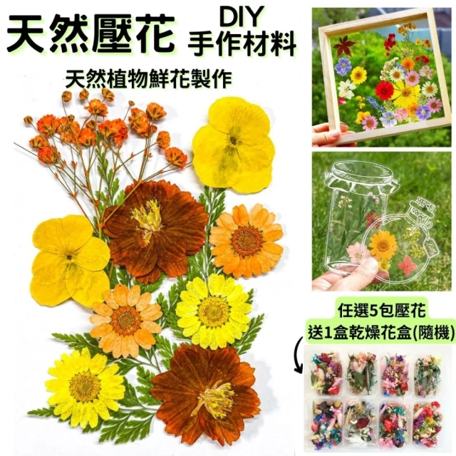 A-ONE 匯旺 壓花材料 乾燥花材料 壓花 押花 手工壓花 植物 壓花DIY 乾花書籤