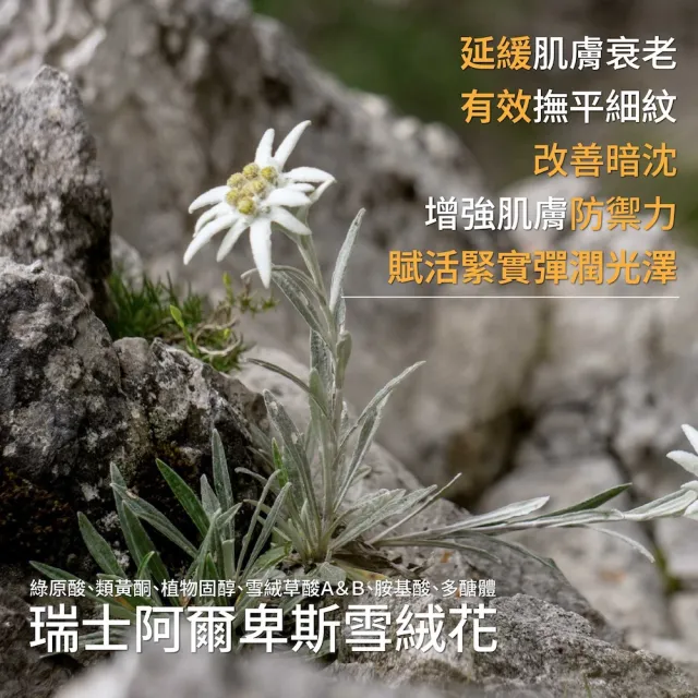【UNE OLIVE EN PROVENCE 一顆橄欖】雪絨花萃抗皺黑霜50mlx1(法國原裝進口)
