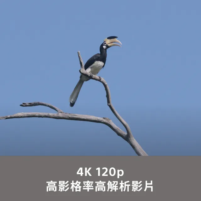 【SONY 索尼】APS-C 數位相機 ILCE-6700M SEL18135 變焦鏡組(公司貨 保固18+6個月)