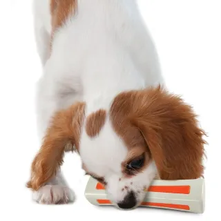 【Petstages】比漾咬咬骨 寵物玩具 XS 潔牙 耐咬 狗玩具