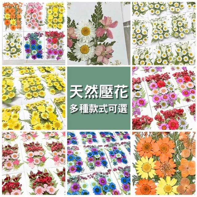 【A-ONE 匯旺】壓花材料 乾燥花材料 壓花 押花 手工壓花 植物 壓花DIY 乾花書籤