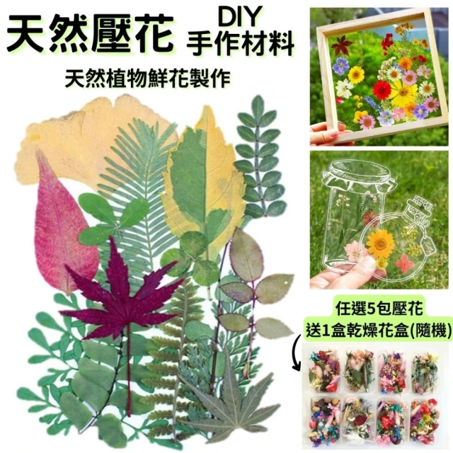 A-ONE 匯旺 乾燥花材料盒 永生花材料 乾燥花不凋花 香薰蠟燭材料 浮油花 裝飾花 壓花