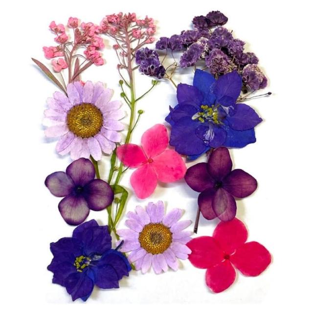 【A-ONE 匯旺】DIY混合壓花 乾花樹葉包 壓花真花 DIY書籤 植物標本 乾花材料包