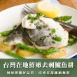 台灣在地鮮嫩去刺鱸魚排超值組