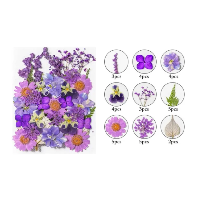 【A-ONE 匯旺】真花壓花 乾燥花 拼貼 貼臉裝飾 新娘妝 少女寫真DIY 壓花材料包