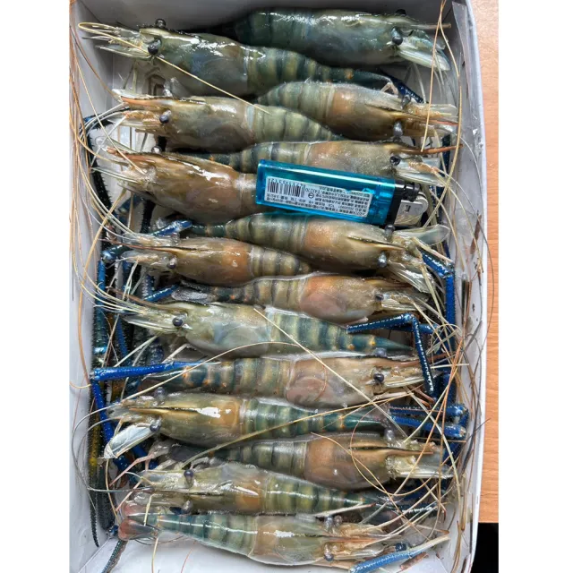 【好神】鮮凍泰國蝦8斤組(600g/16-17尾/盒/中秋烤肉/火鍋/燒烤)