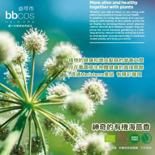 【bbcos 必可市】永恆豐髮無限活力精華(30ml;頭皮活力;有機天然認證;極精萃精華;髮根強健;豐厚蓬鬆首選)