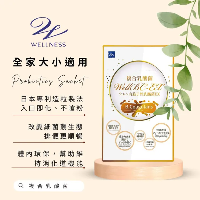 【Wellness】WellBC-EX複合乳酸菌-單入組(60包/盒 幫助維持消化道機能 芽孢乳酸菌 常溫保存 一餐一包)
