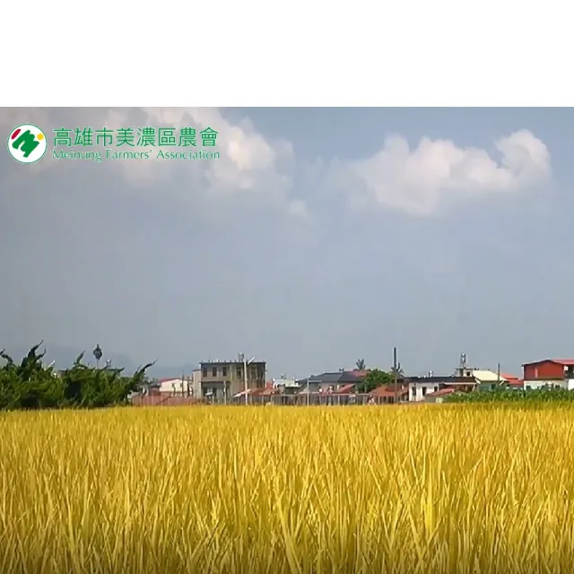 高雄美濃147芋香米(3公斤X2包)