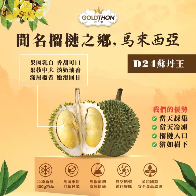 【Gold Thon】馬來西亞老樹蘇丹王榴槤果肉400克*1盒(真空貼體盒裝  清真認證)