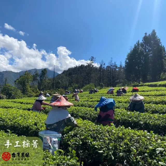 【台灣農林】官方直營 尚品紅玉紅茶台茶18號 日月老茶廠(茶包25入x3盒)