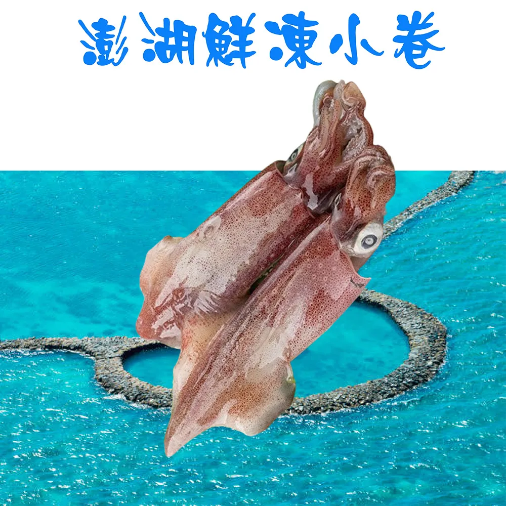 【海之醇】台灣澎湖小卷-12隻組(300g±10%/包/2隻)