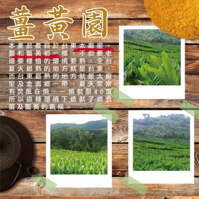 【SunFood 太禓食品】台東太麻里純正老薑黃粉x3包(100g/包)