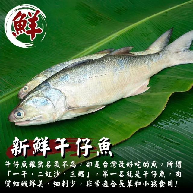 【三頓飯】台灣午仔魚清肉片-8片組(60-80g/片)