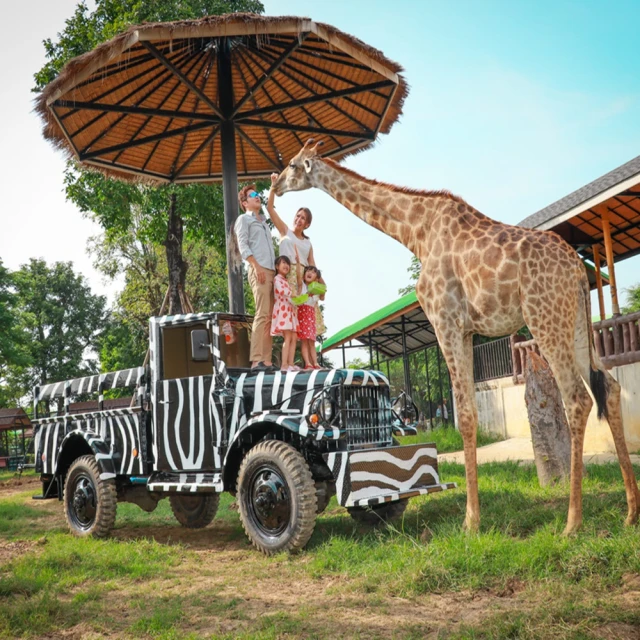 無購物-6人輕鬆成行 泰國曼谷沙美島芭達雅全明星號雙夜市精彩