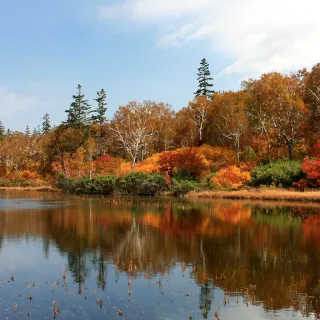 【喜鴻假期】【秋風吹起海陸空北海道５日】鑽石夜景、絕景神仙沼、楓紅豐平峽、熊牧場、湖畔花火