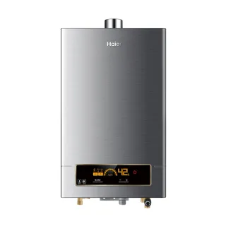 【Haier 海爾】16L智能恆溫強制排氣熱水器DC5基本安裝JSQ31-16NG1/FE(火速安裝)