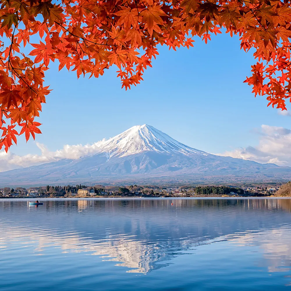 【喜鴻假期】【楓東京５日】河口湖紅葉祭、富士美景、箱根水上鳥居、迪士尼、螃蟹吃到飽